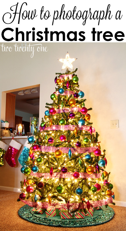How to photograph a Christmas tree!  Great tips!