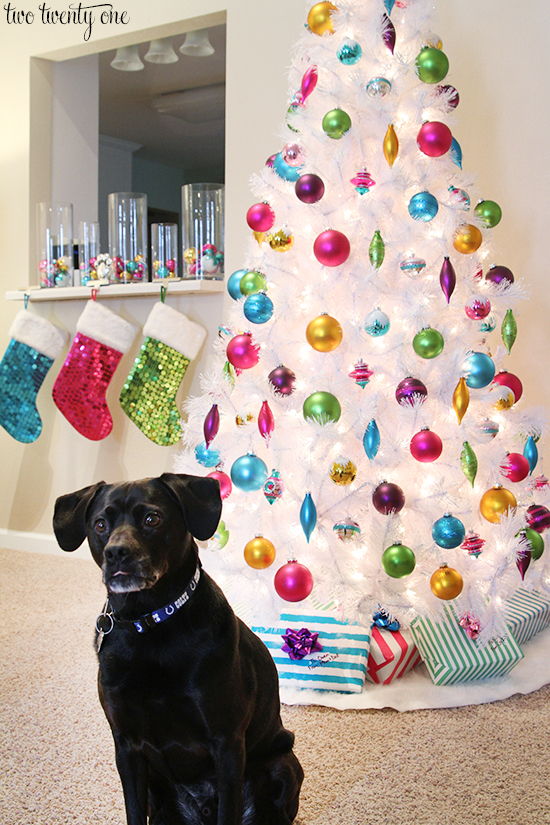 jack with christmas tree