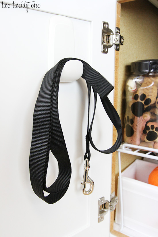 dog leash organization