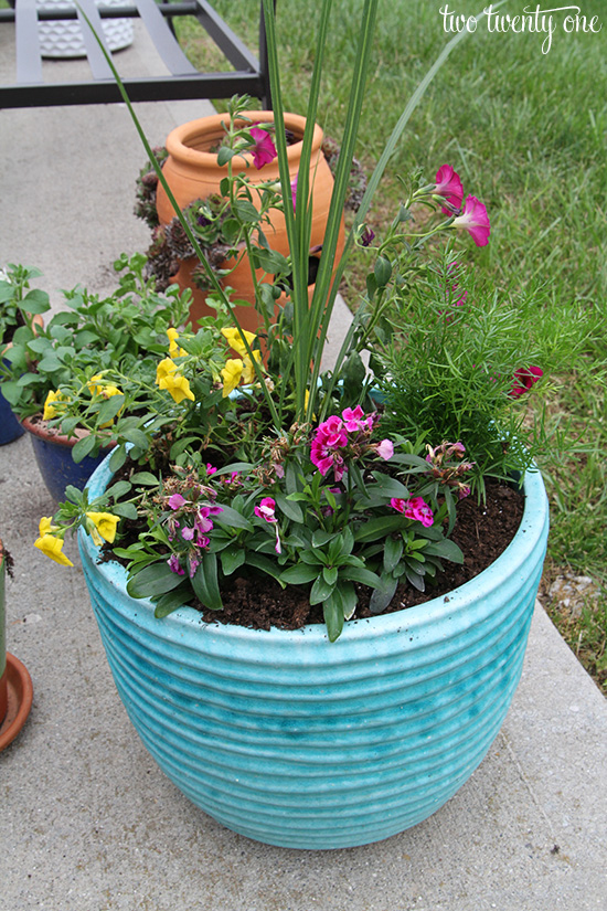 flower planter 1