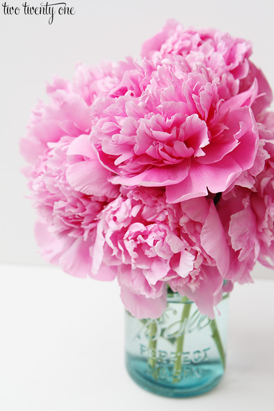 peonies 12