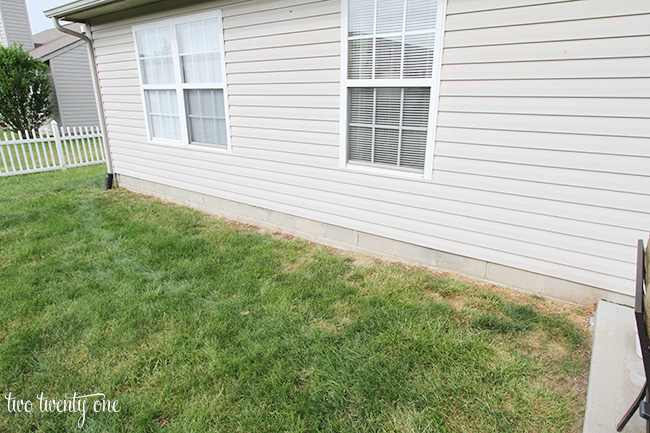 backyard flower bed 1