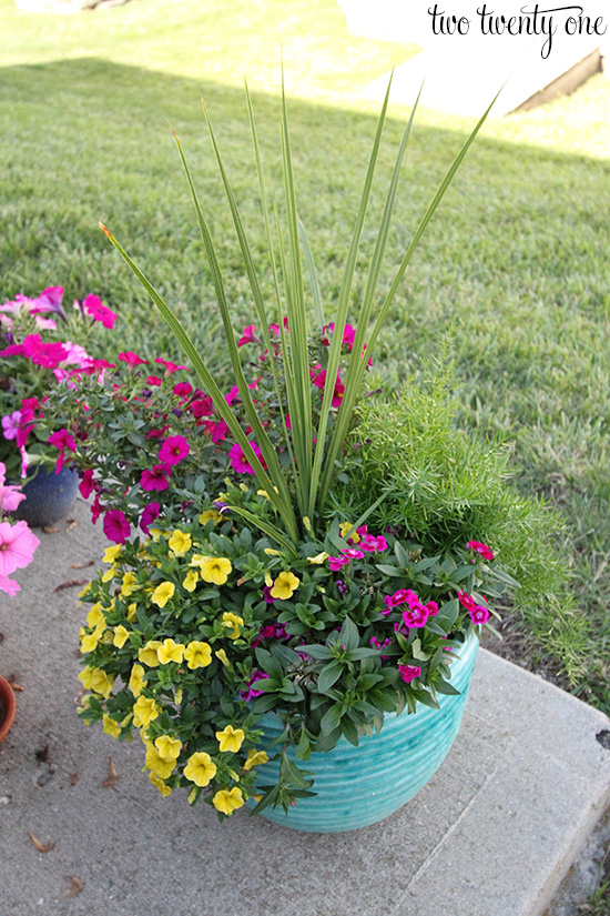 flower planter