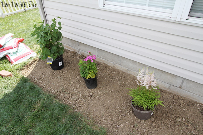 planting new flowerbed