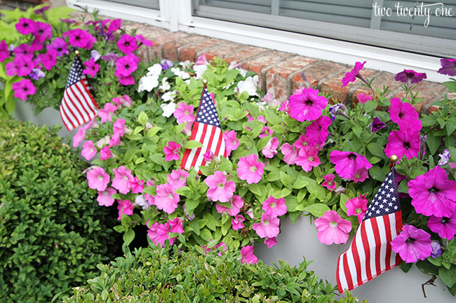 window flower box