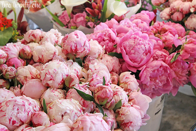 peonies