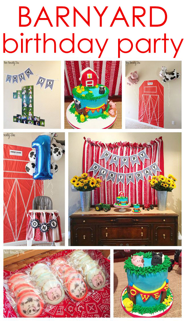 Super cute barnyard birthday party!