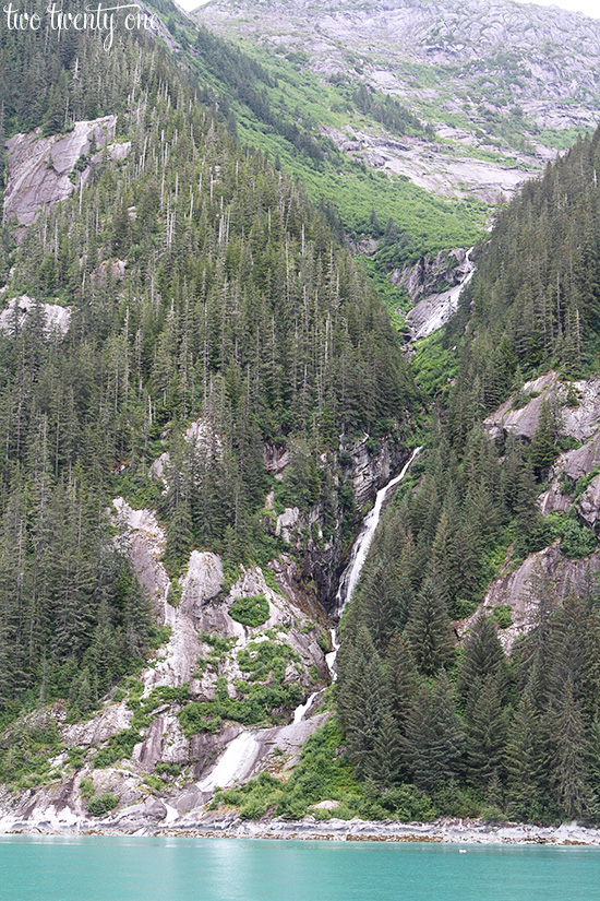 tracy arm fjord 1