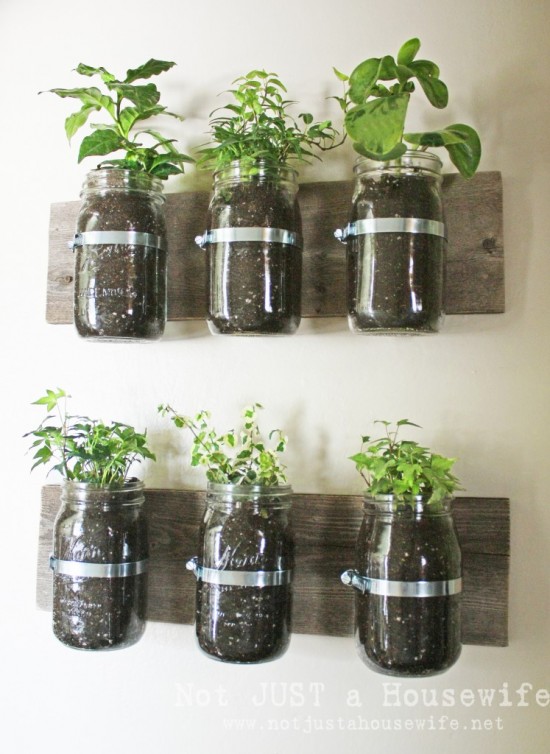 mason-jar-planter-board-747x1024