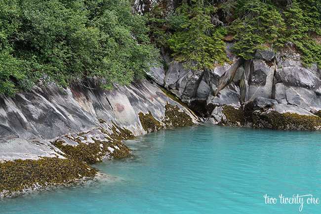 tracy arm fjord 1