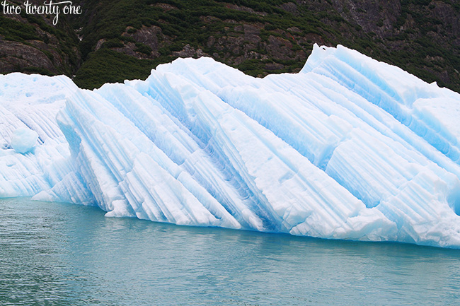 tracy arm fjord 10