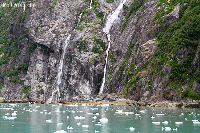 tracy arm fjord 6