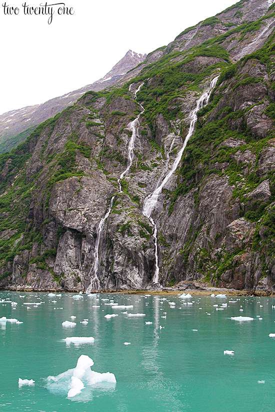 tracy arm fjord 7