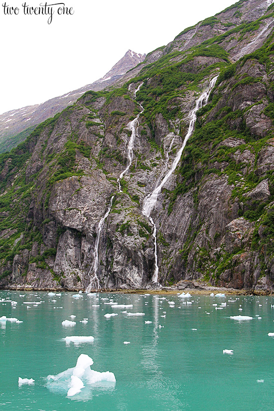 Alaskan Cruise: Tracy Arm Fjord