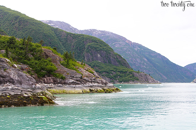 tracy arm fjord 9