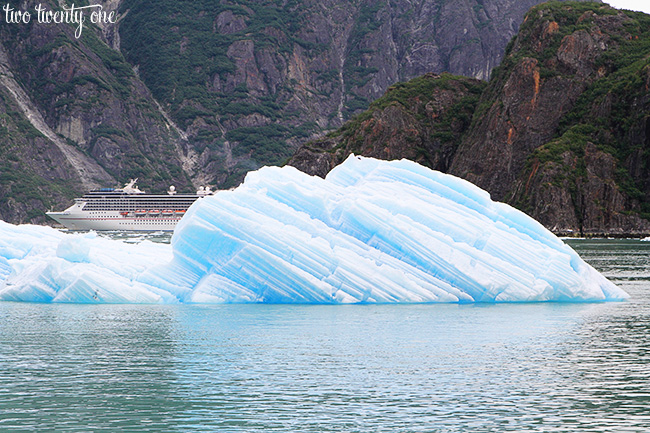 tracy arm fjord carnival