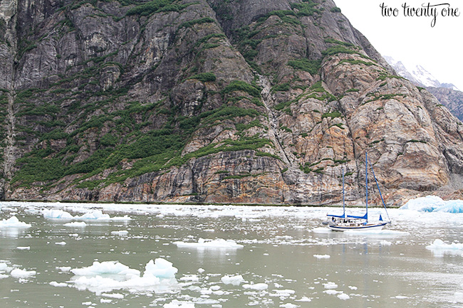 tracy arm fjord