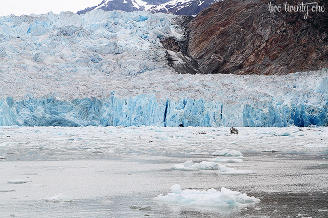 sawyer glacier 2