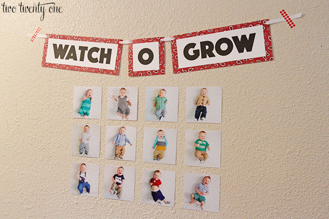 watch o grow