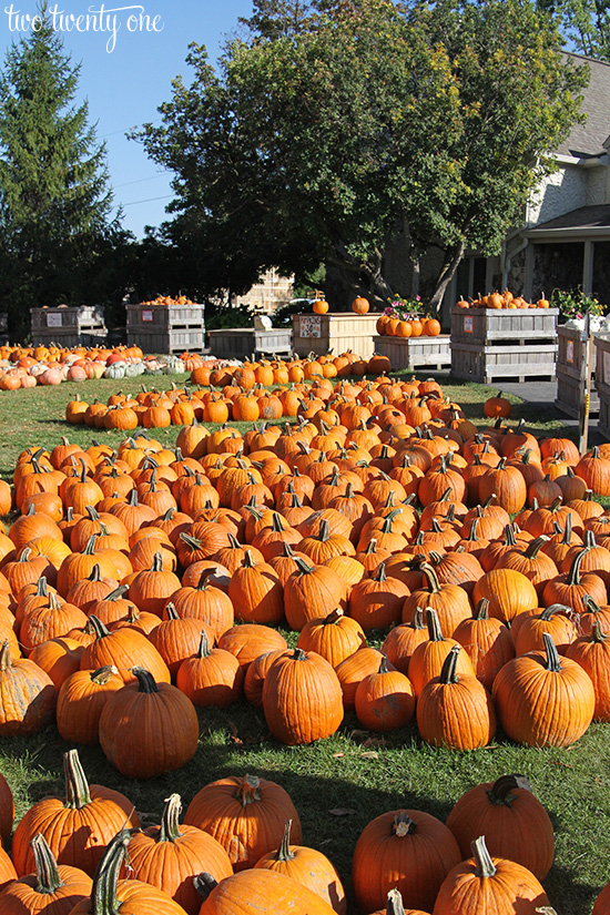 anderson orchard mooresville