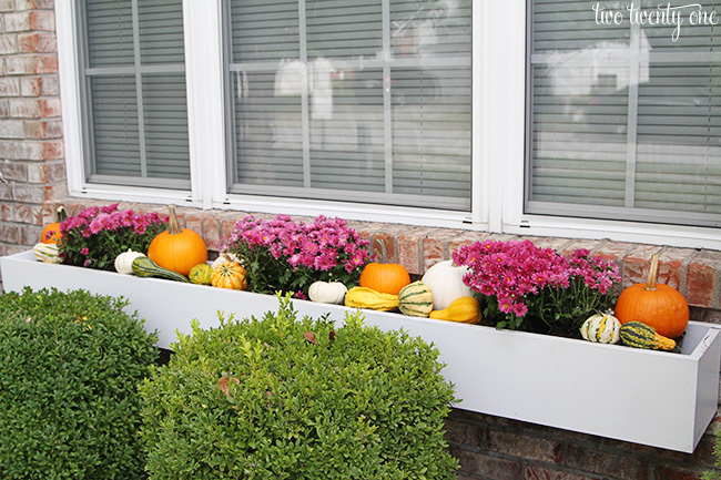 fall window box decor