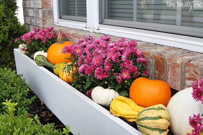 fall window box