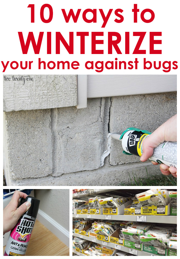 10 ways to winterize your home against bugs! Great tips!