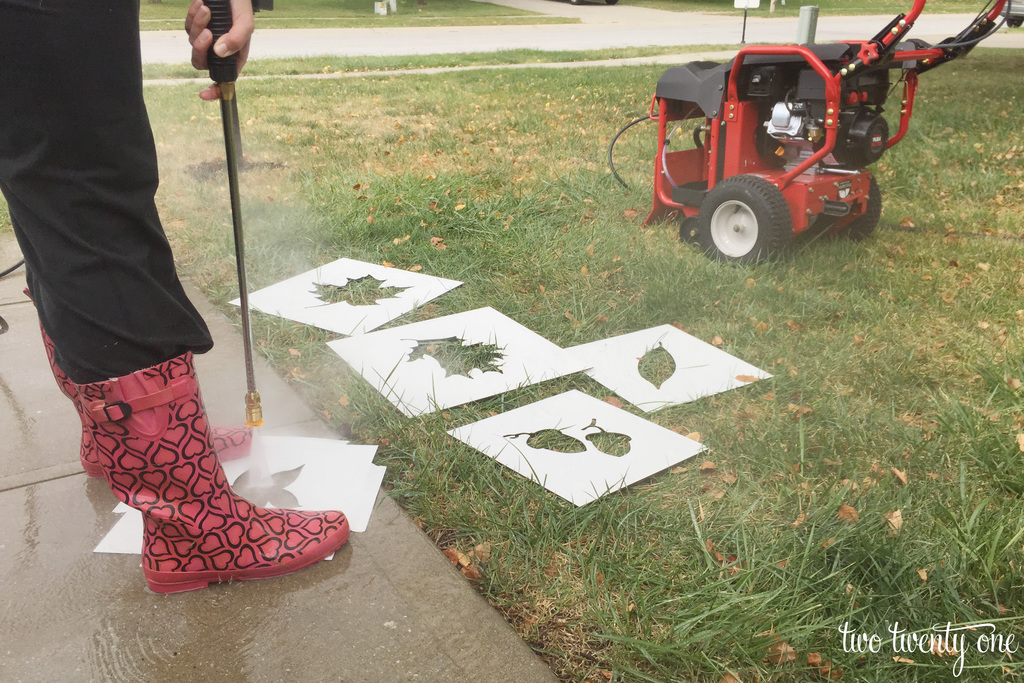 Troybilt FLEX pressure washer 2