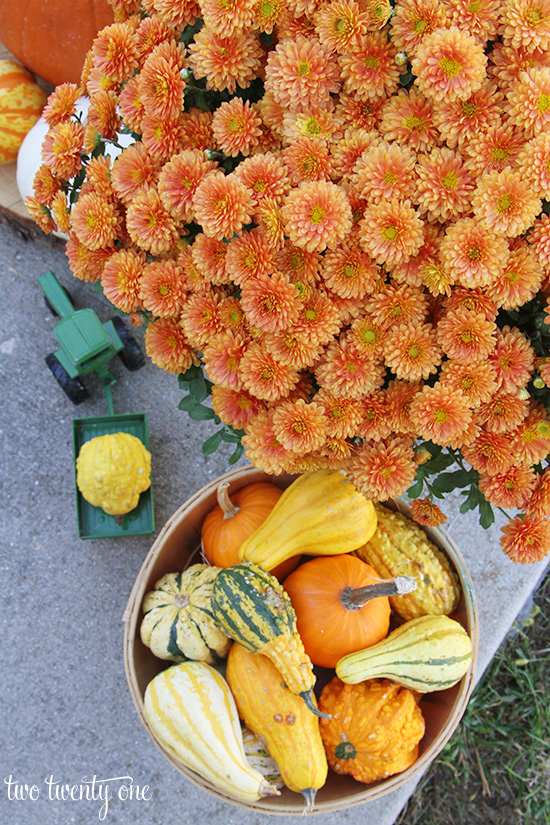 fall outdoor decorations