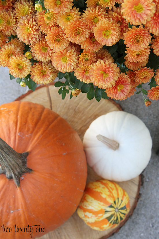 mums and pumpkins