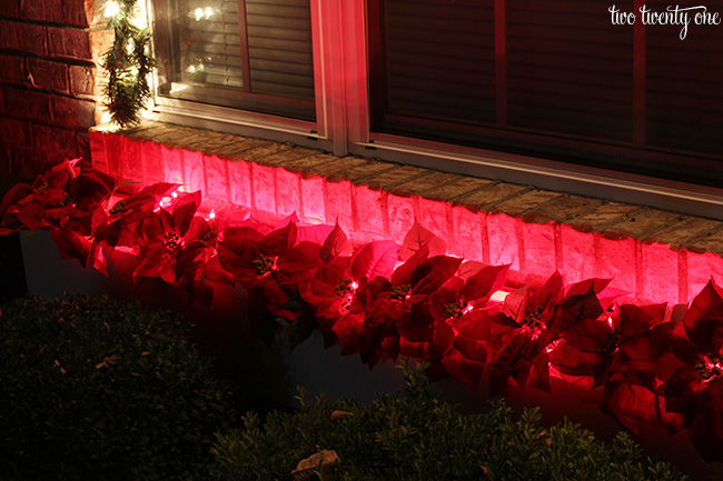 outdoor poinsettia decoration