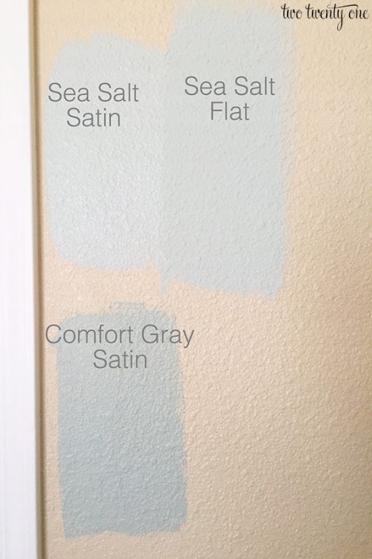 Sherwin Williams Sea Salt Master Bedroom Wall Color