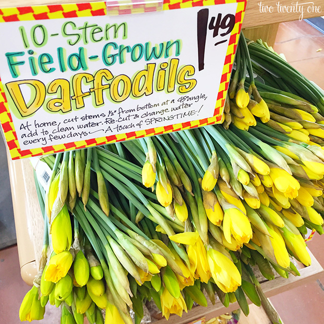 trader joe's daffodils