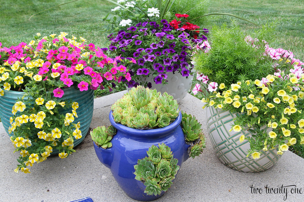 flower-planters