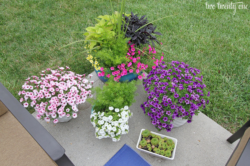 patio-planters