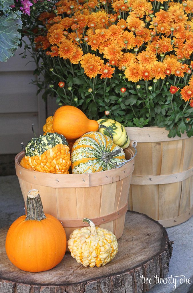 fall-pumpkin-decorations