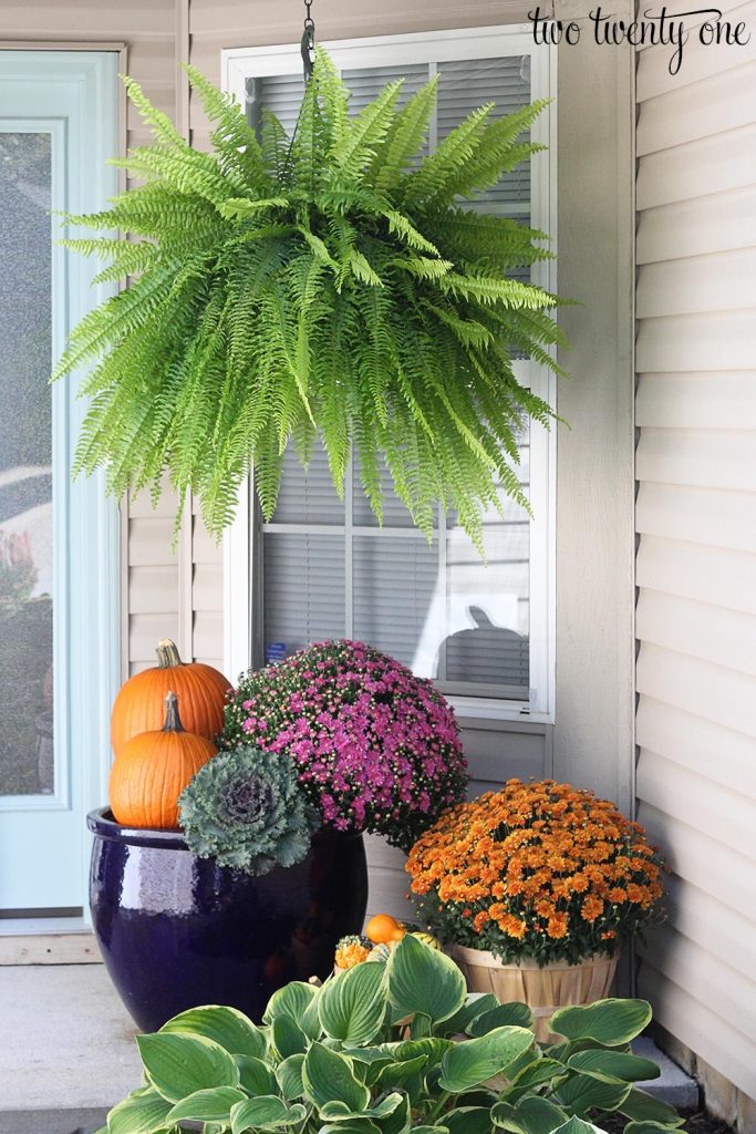front porch with orange pumpkins and purple and orange mums in planters