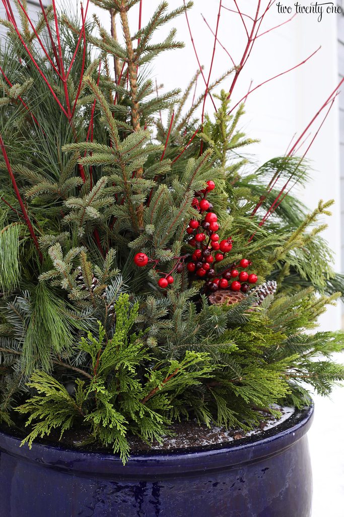 christmas planter with fresh greens