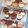 puppy face cupcakes