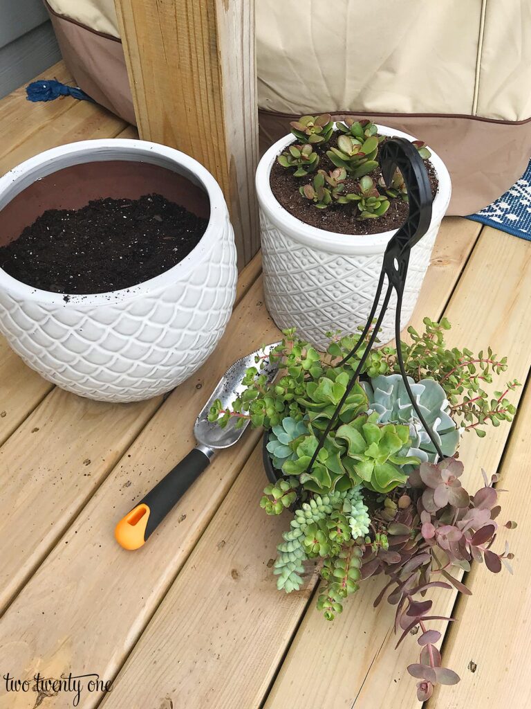 two white planters and a hanging basket of succulents