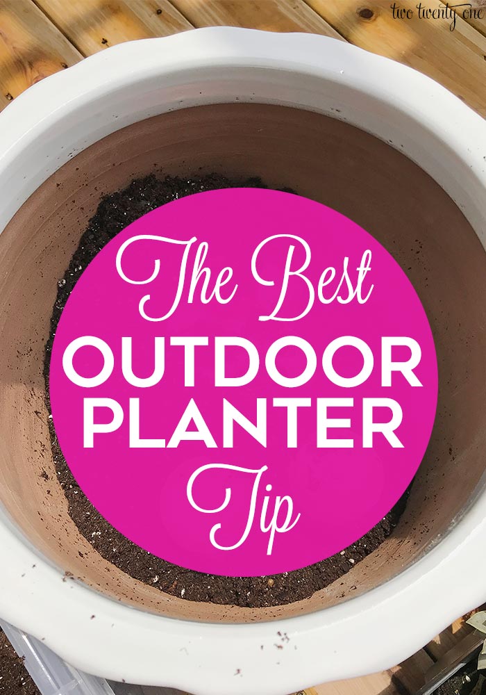 The best outdoor planter tip