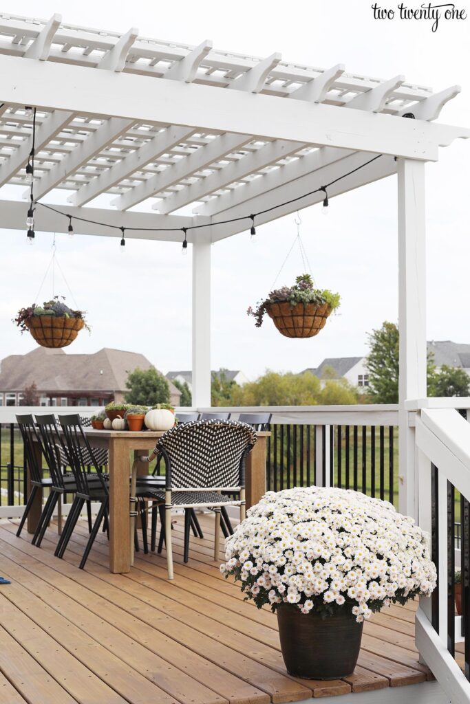 white mum on a backyard deck