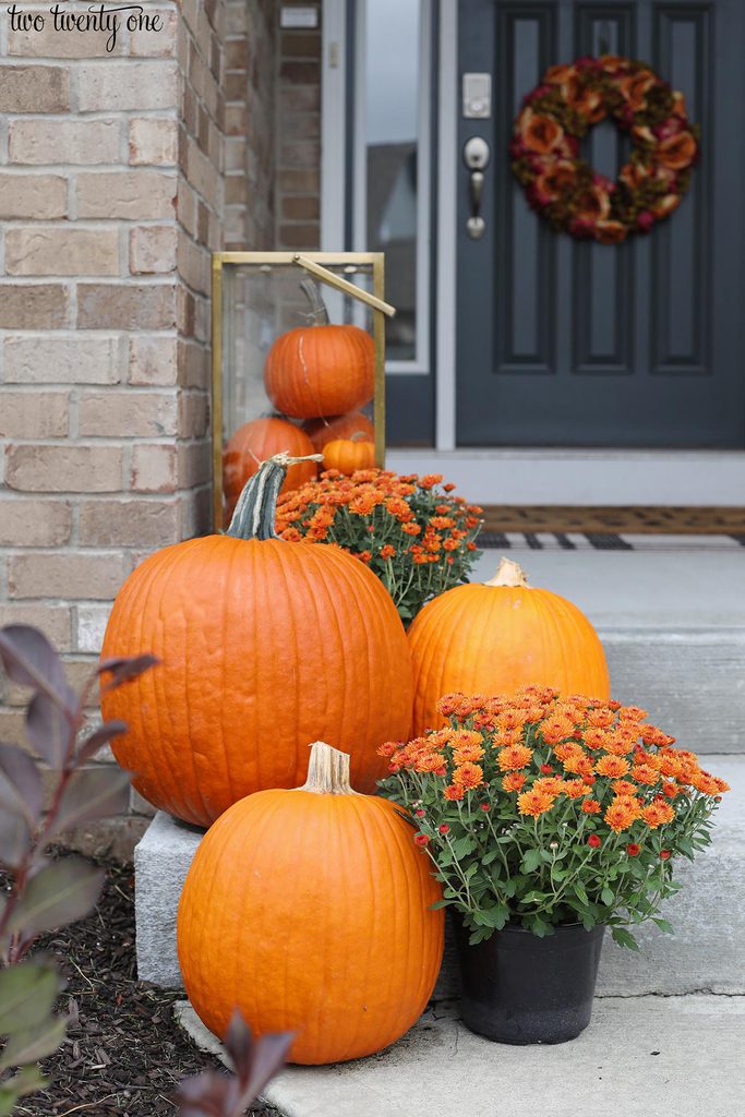 pumpkins and orange mums