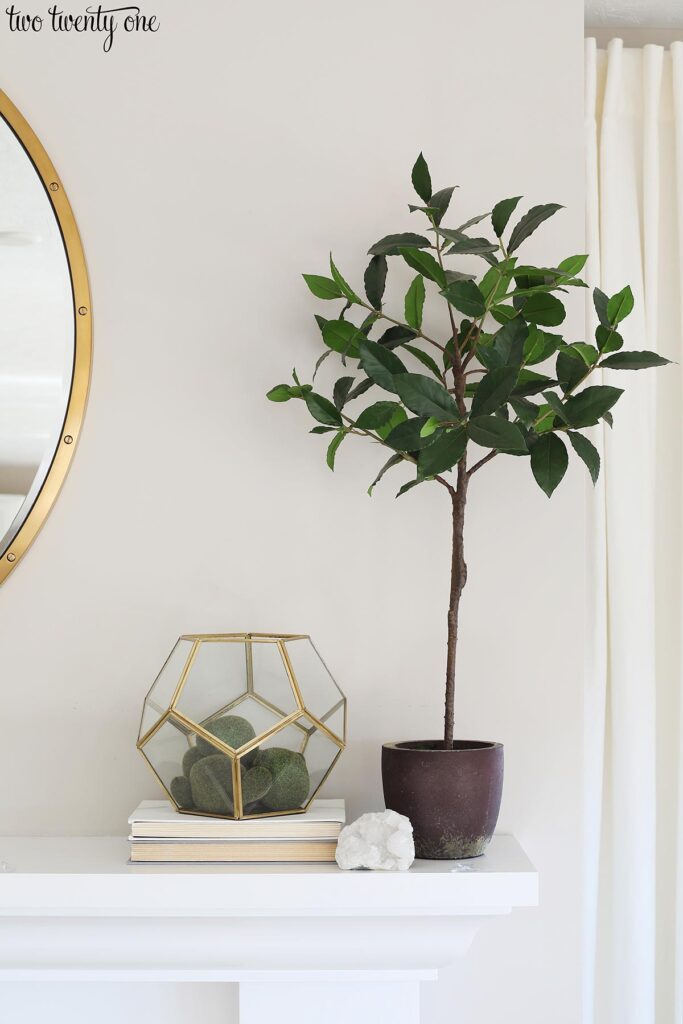 Worldly grey wall color. Mantel with glass container with mossy rocks and faux topiary.