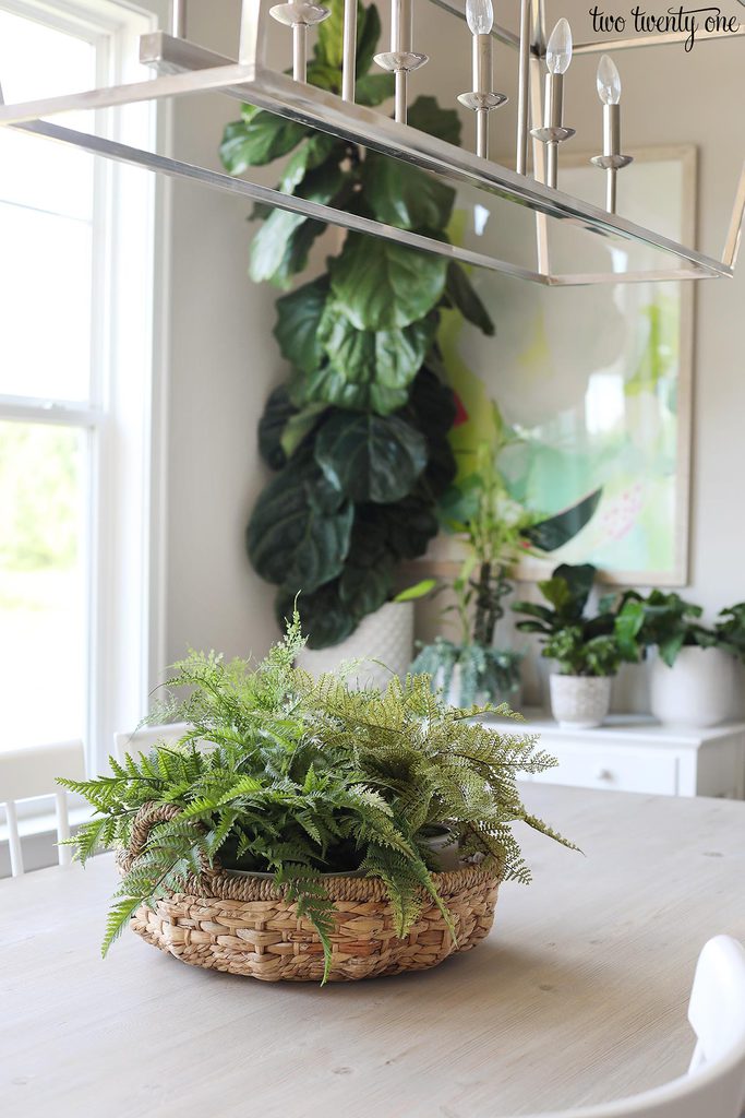 ferns in basket