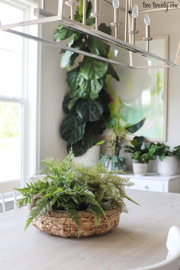 ferns in basket