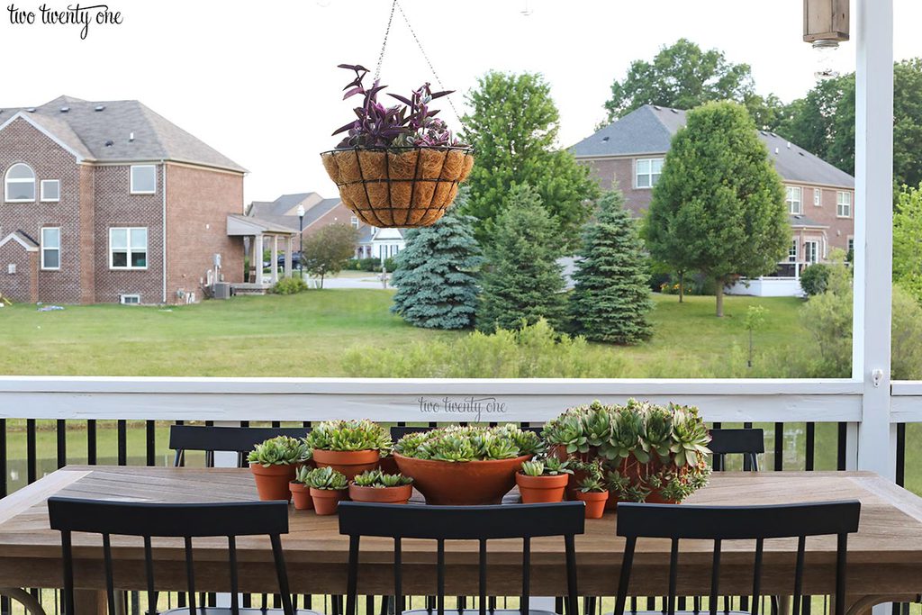 outdoor dining table with succulents