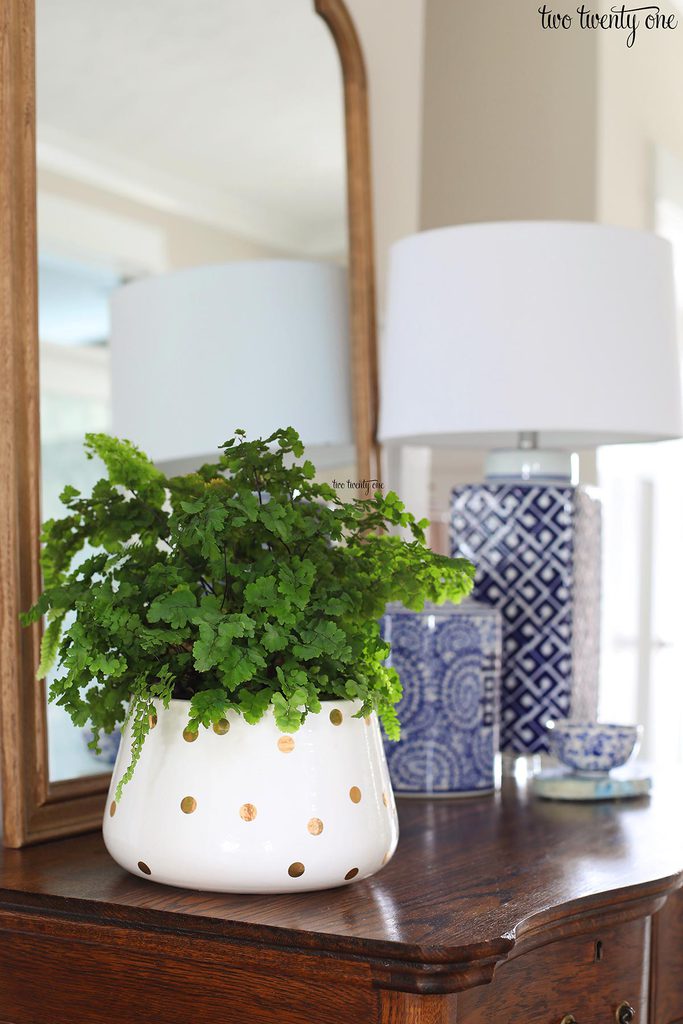 maidenhair fern