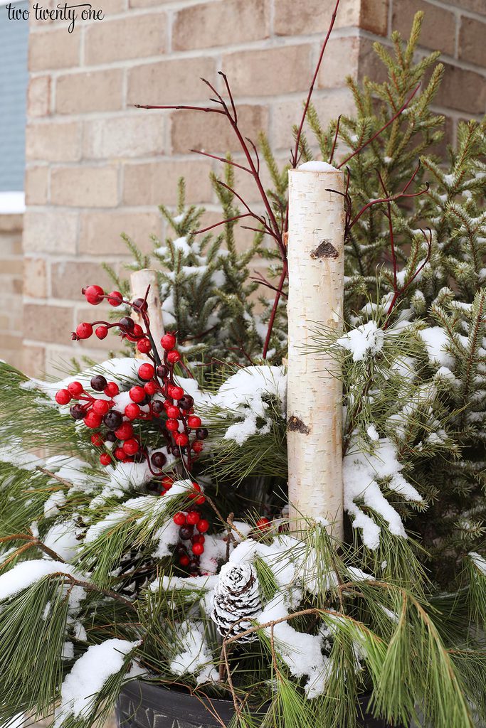 Costco Christmas planter