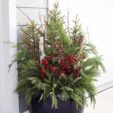 Christmas outdoor planter
